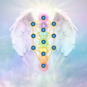 Levensboom Verdieping