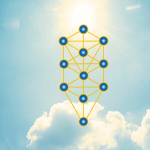 Levensboom Basisworkshop